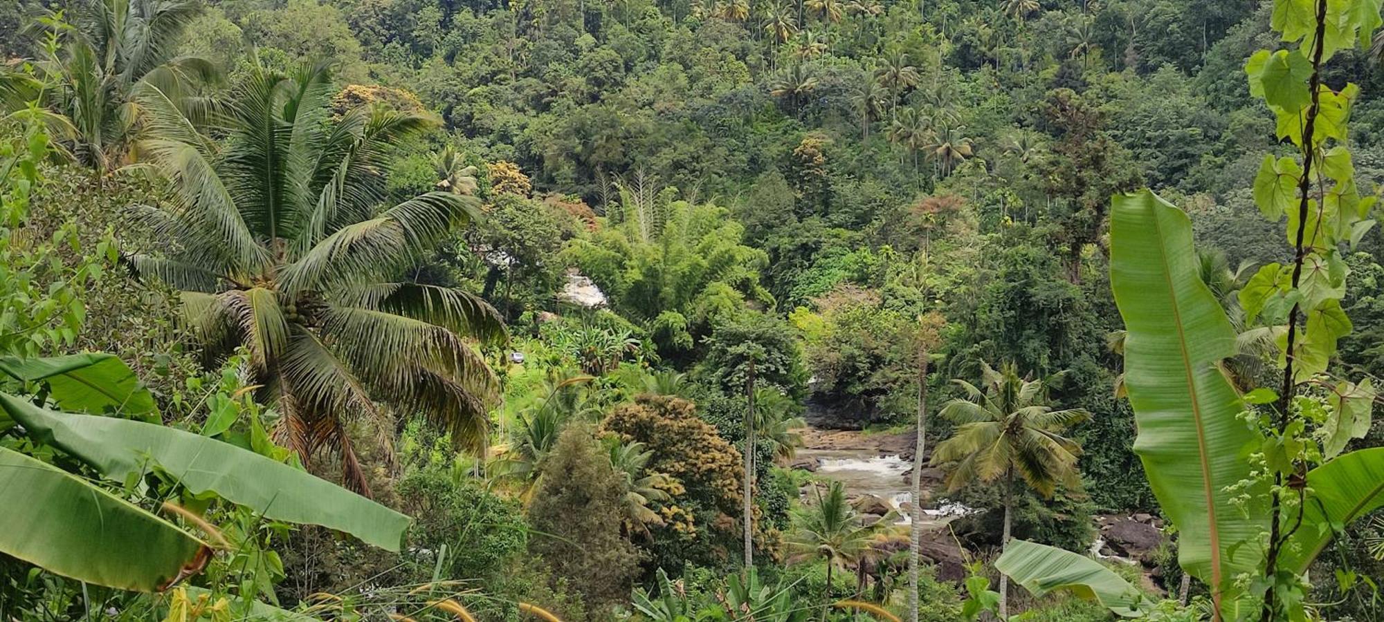 Munnar Village Homes Exterior foto