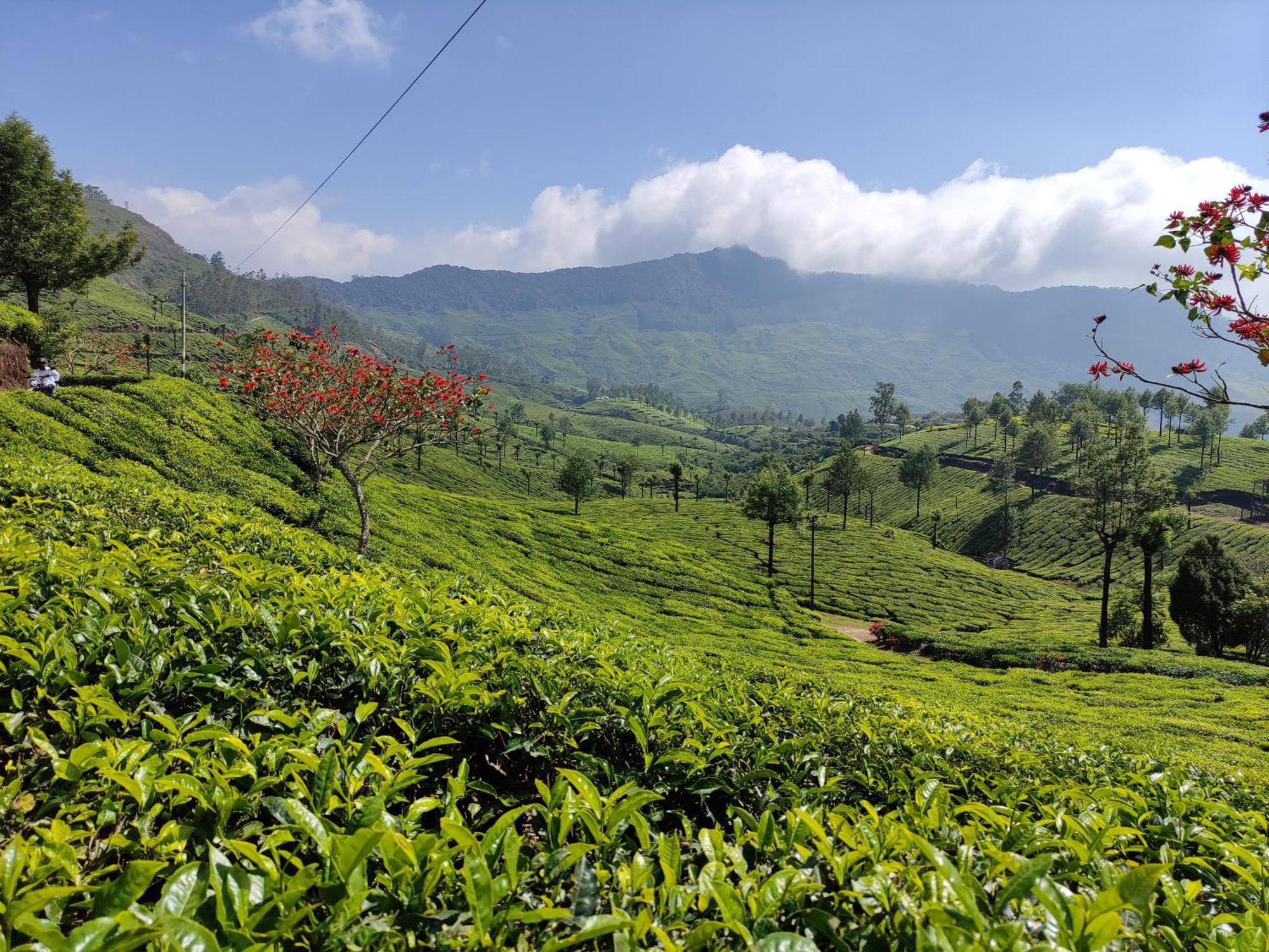 Munnar Village Homes Exterior foto